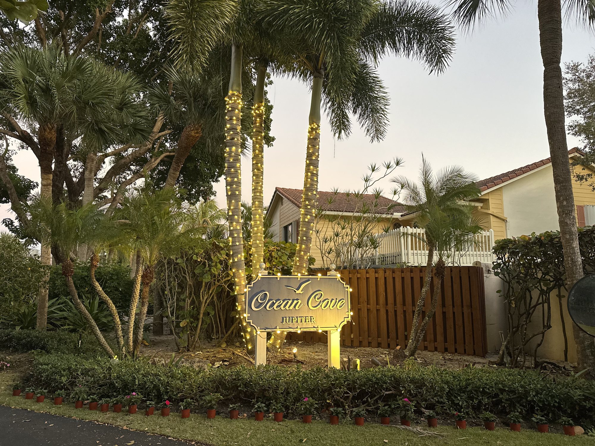 Two-story home with blue and red lighting and palms
