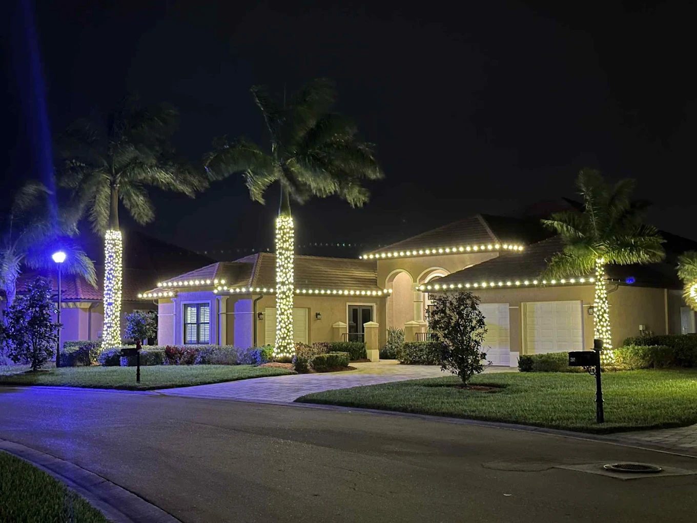 Tall palm wrapped in lights at an estate