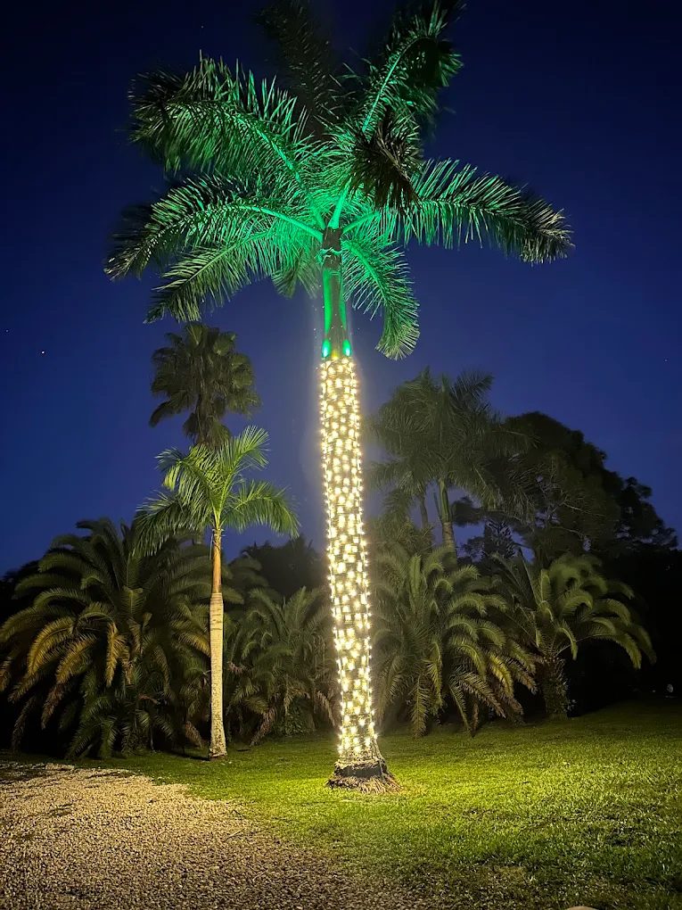 Community home with warm white lighting and palms