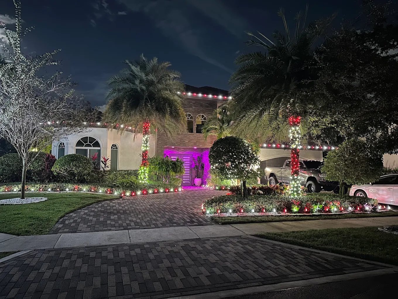 Estate with warm white wrapped palms along the driveway