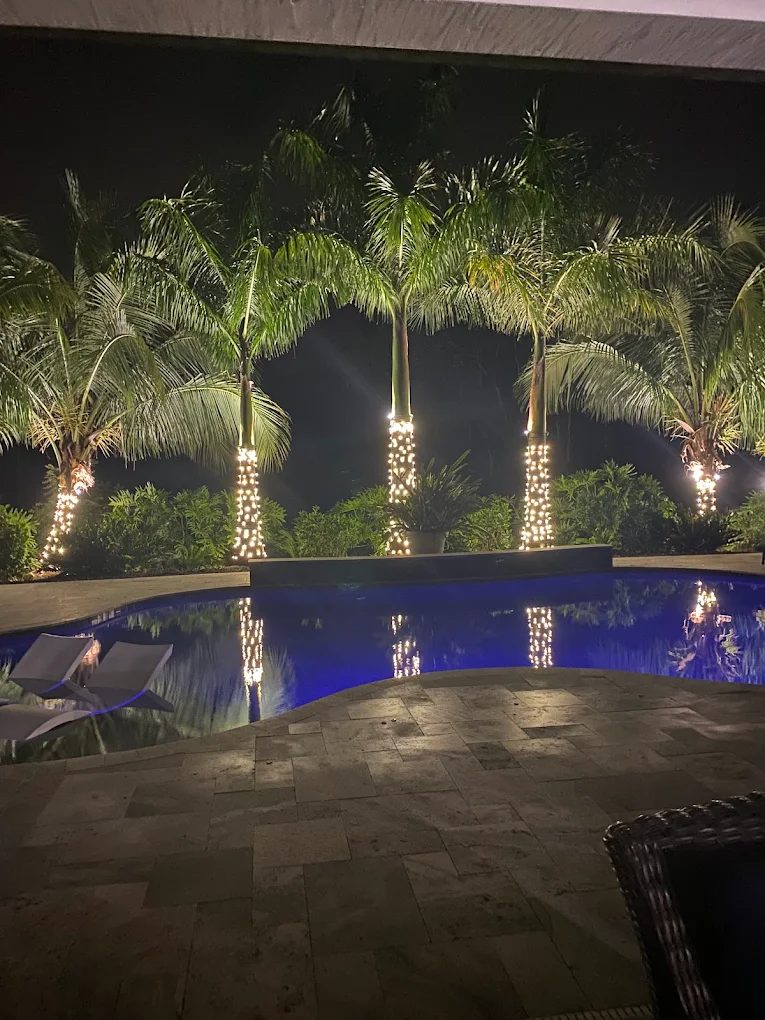 Home with festive holiday roofline lighting and wrapped palm at twilight