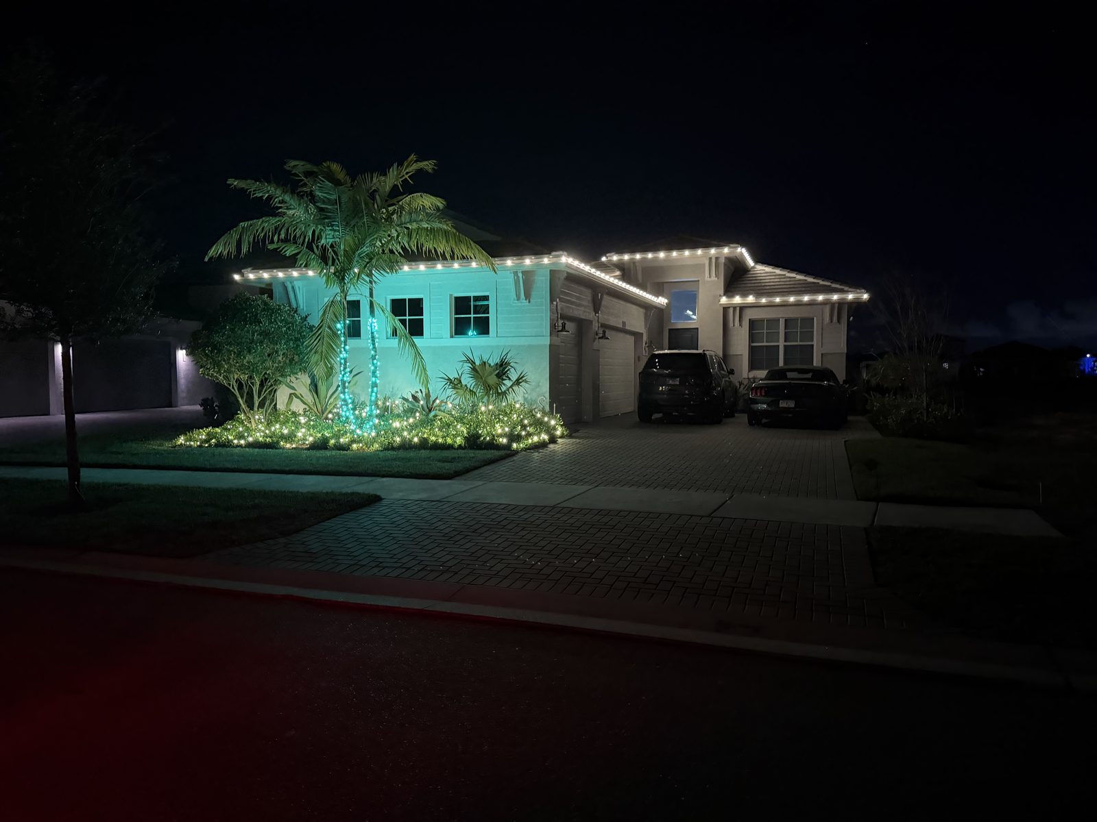 Single-story home with wrapped palm tree