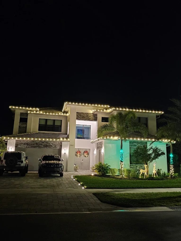 Royal palm wrapped with green-lit crown
