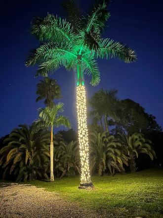 Community home with warm white lighting and palms