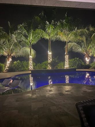Home with festive holiday roofline lighting and wrapped palm at twilight