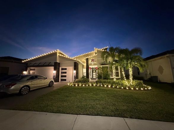 Pool area with palms wrapped in holiday lights