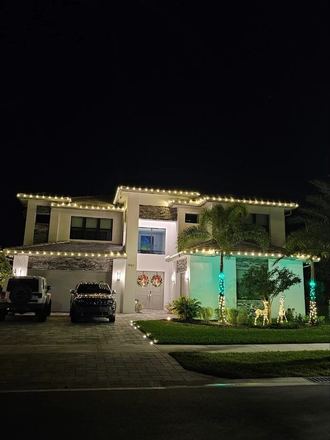 Royal palm wrapped with green-lit crown
